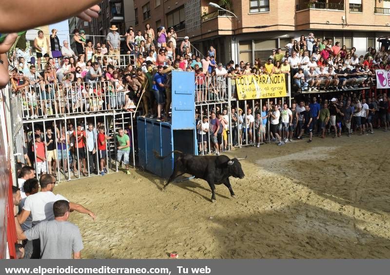 Peñas y toro.