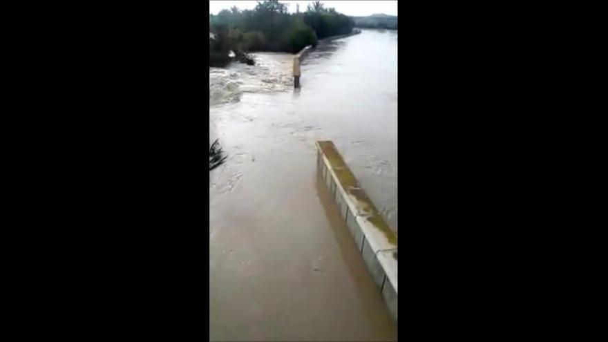 El río Segura sufre una nueva rotura en un dique cerca de Almoradí y Algorfa