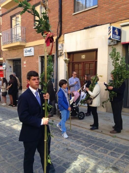 Semana Santa en Toro: La Borriquita