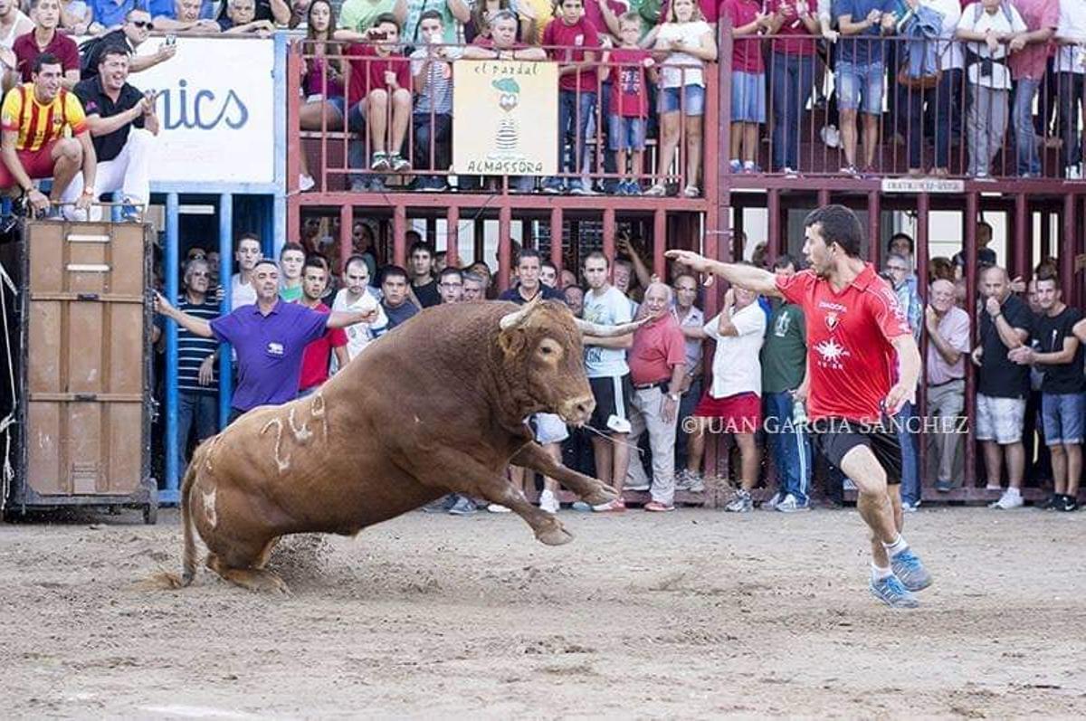 En el año 2014 ganó el premio a la mejor parada en Almassora con esta acción. No es para menos. Hablar de sangre fría es quedarse corto.