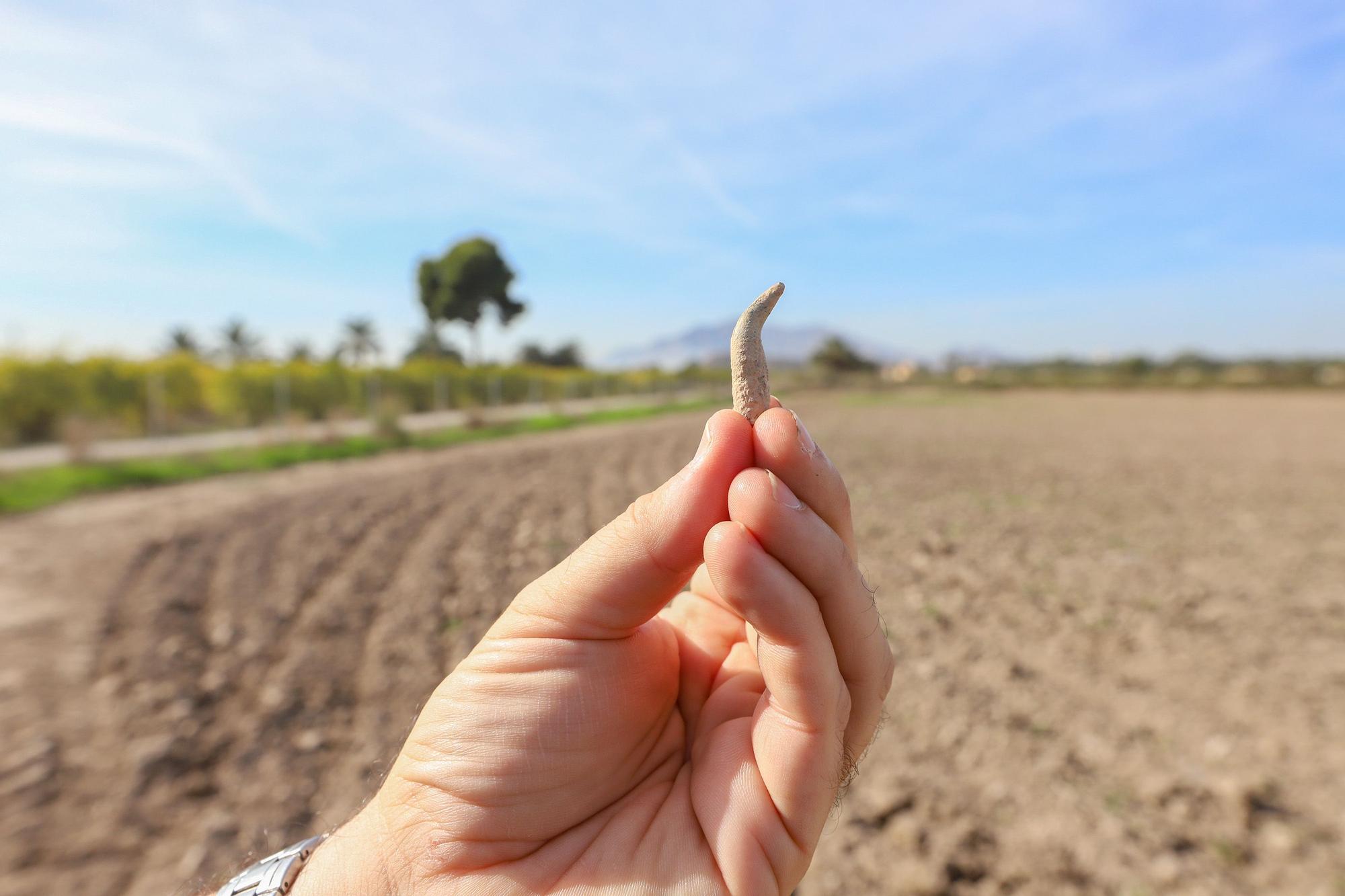 Tercera campaña arqueológica en el campo de concentración de Albatera