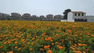 El clavellón de la Batalla de Flores llega muy potente y a la espera de que ni llueva ni haga viento hasta el viernes
