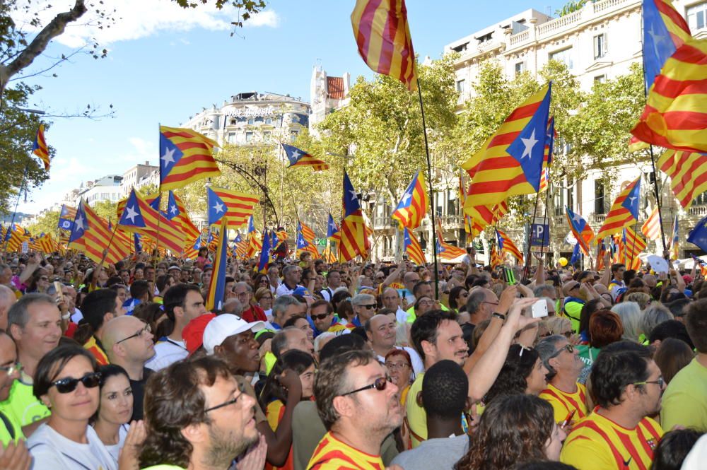 Berguedans a la concentració de la Diada