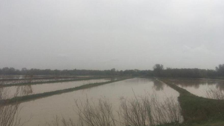 Los agricultores vuelven a pedir que se limpie el Ebro tras el paso de la última riada