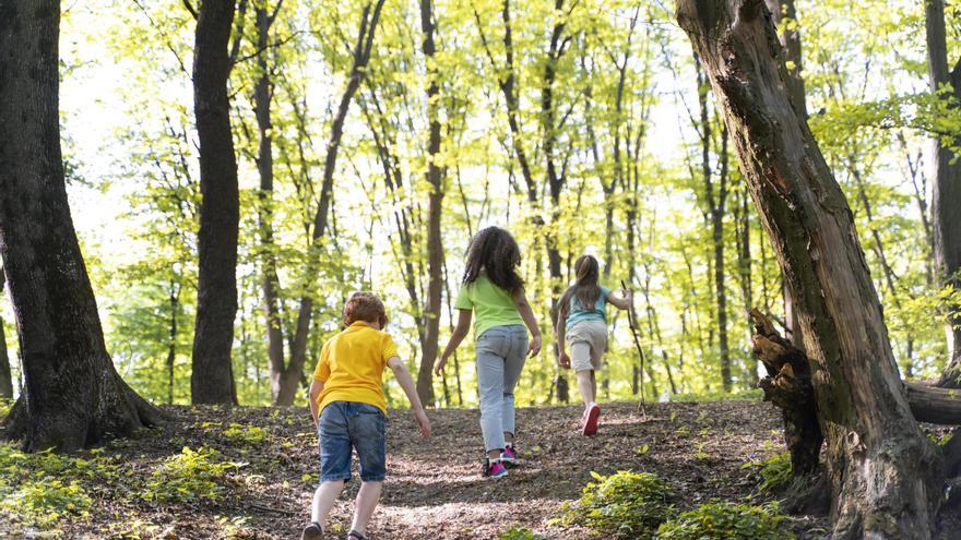 Una excursió fàcil i bonica per fer amb els més menuts de casa al Solsonès