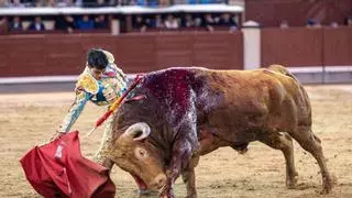 'Brigadier', una locomotora de bravura de Pedraza de Yeltes en Madrid