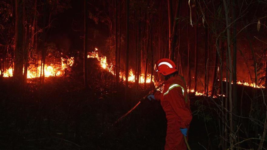 Uno de los incendios que arrasó monte en Nigrán. // G.N.