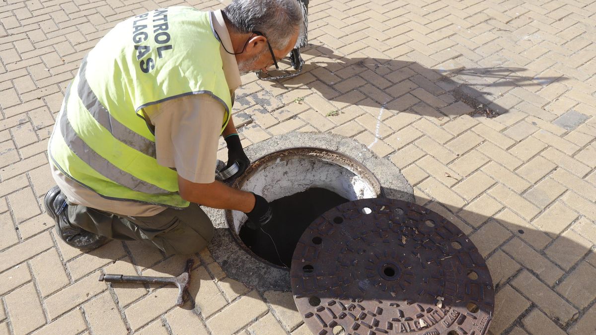 Imagen de archivo de un trabajador de Sadeco en un control de plagas.