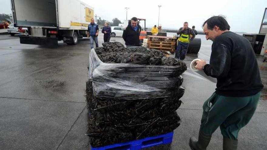 Un operario embala una partida para su transporte por carretera. // IA