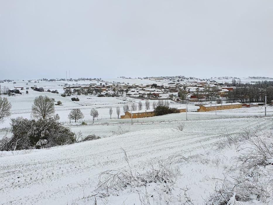 Nieve en Venialbo