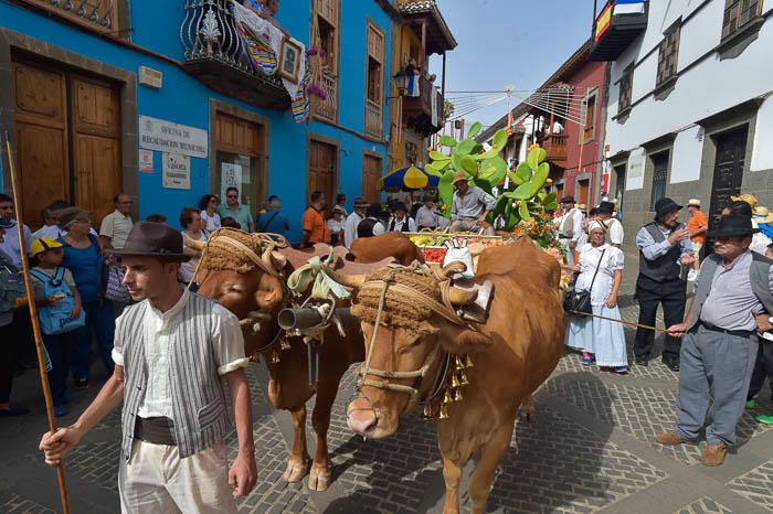 Carretas y grupos en la romería del Pino