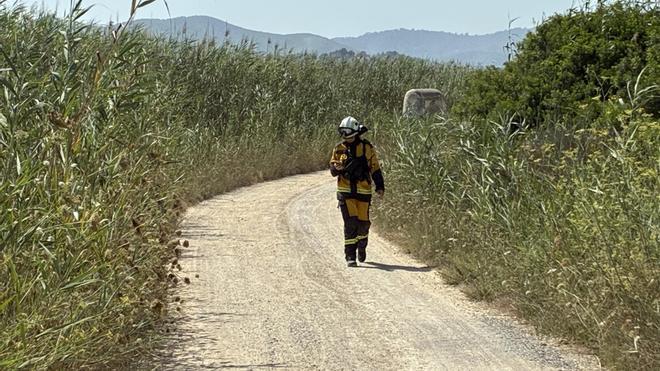 El operativo de emergencias localiza el origen del incendio de ses Feixes des Prat de ses Monges de Ibiza