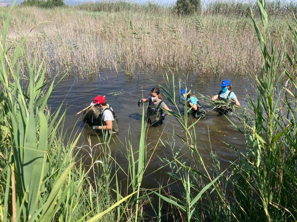 El voluntaris de l’asociació vigilen que l’estat de l’entorn natural estiga en les millors condicions.