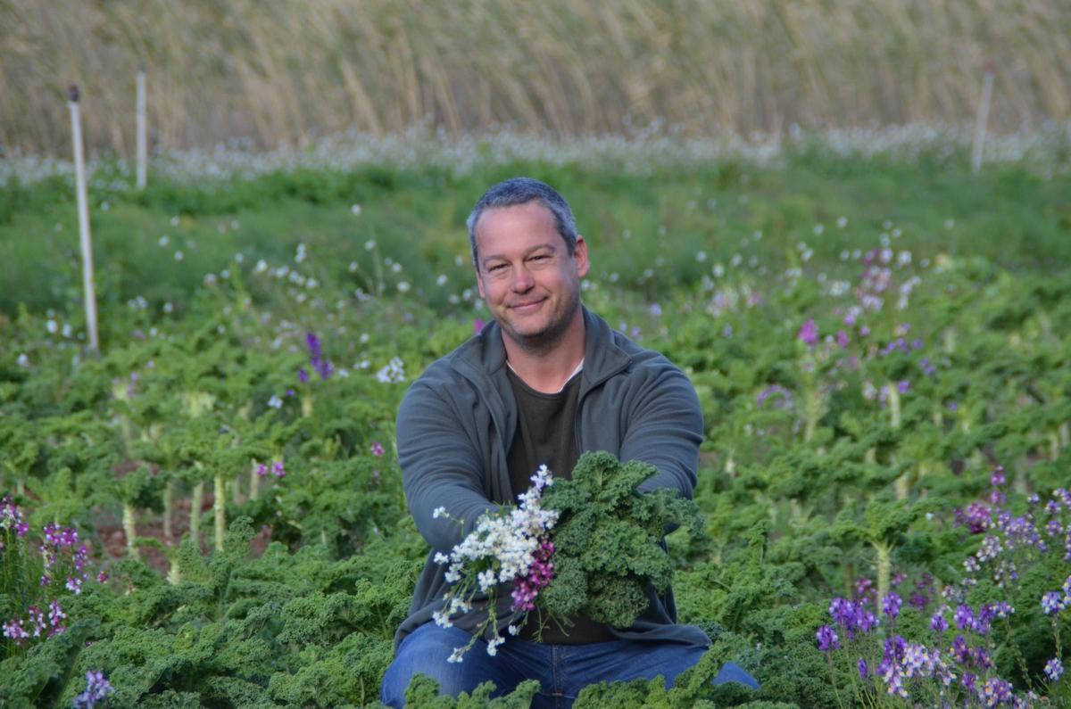 Josep Mestres, agricultor ecológico de Benifallet (Baix Ebre) en su finca con col kale e intercropping floral para atraer a fauna auxiliar.