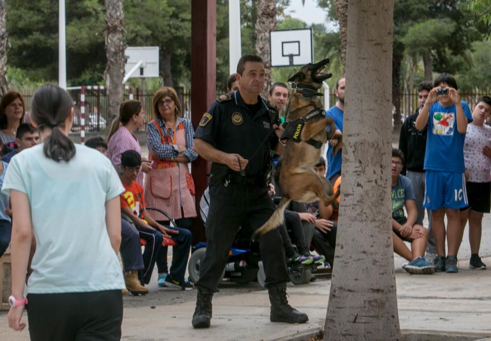 La Unidad Canina de la Policía Local visita colegios para concienciar contra las drogas y ha levantado 560 actas por consumo en 2016