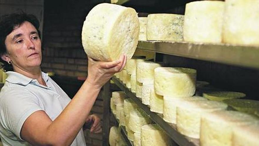 La productora Rosa Sánchez da vuelta a un queso en la sala de ahumado de su quesería, sita en Benia de Onís.