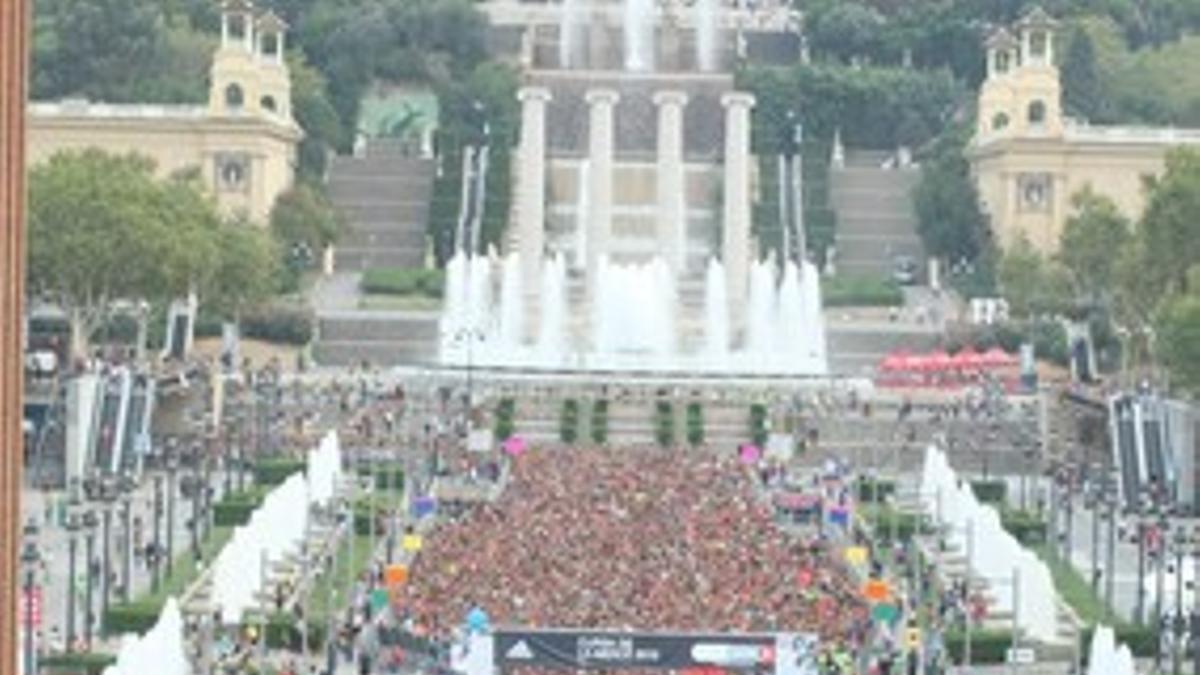 Participantes de la Cursa de la Mercè, en la salida en Montjuïc