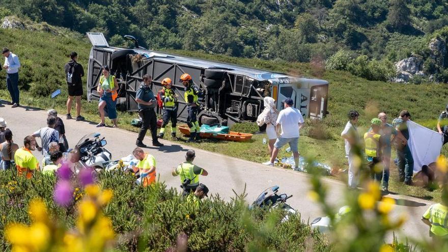 Grave accidente en Covadonga al despeñarse un autobús con niños que iba a los Lagos.