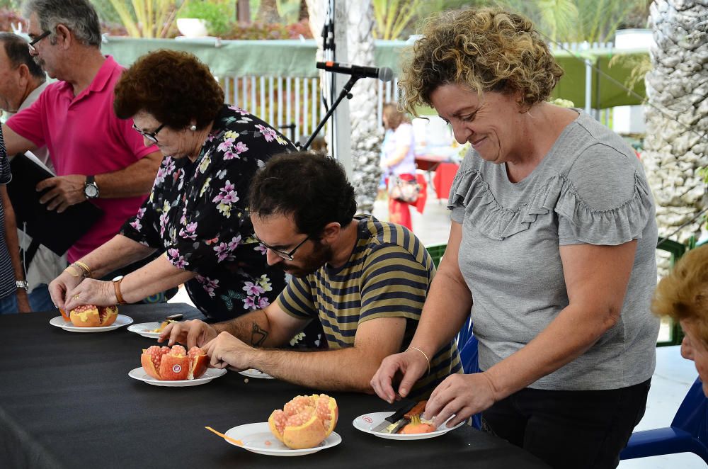 Concurso de pelar granadas en la Fireta del Camp d''Elx.