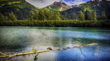 Los fiordos de Kenai: la última frontera de Alaska