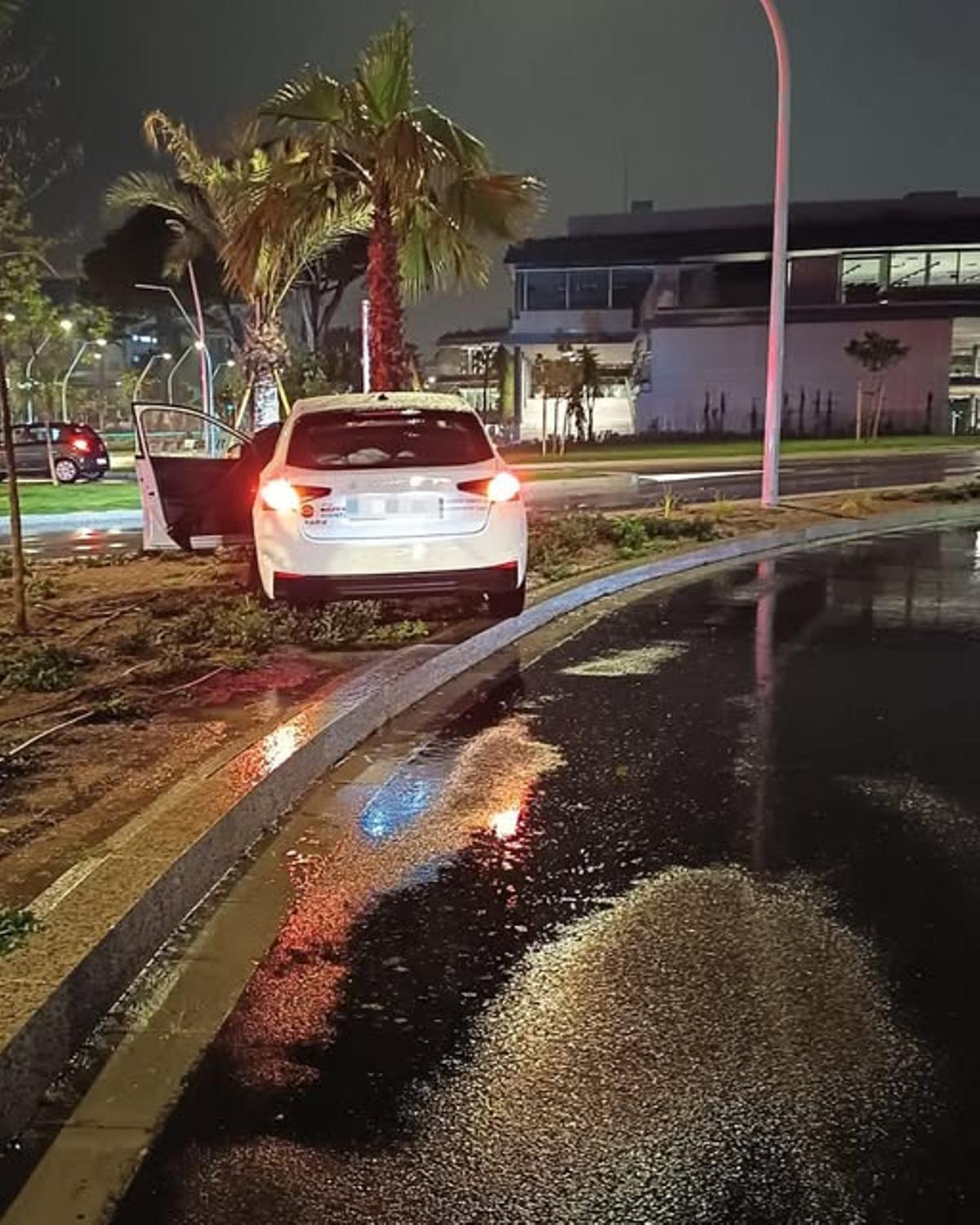 El coche se estrelló contra una palmera del Paseo Marítimo de Palma.