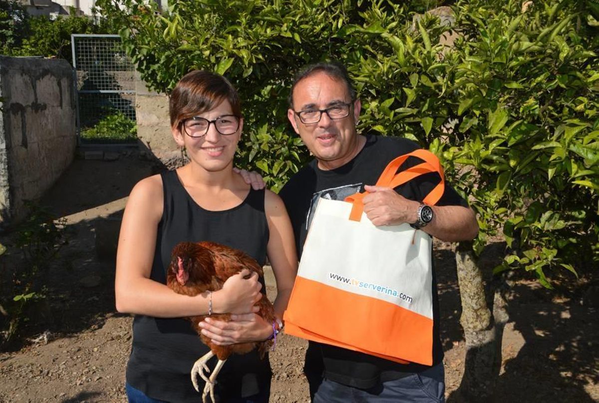 25 años de canto de gallos en Son Servera