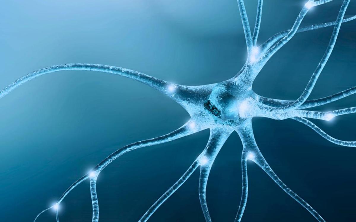 Imagen de Archivo. Representación de una neurona