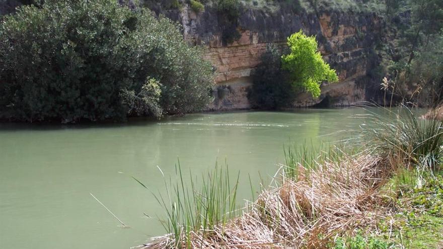 La CHS recuperará 54 kilómetros  del Segura aguas arriba de Abarán