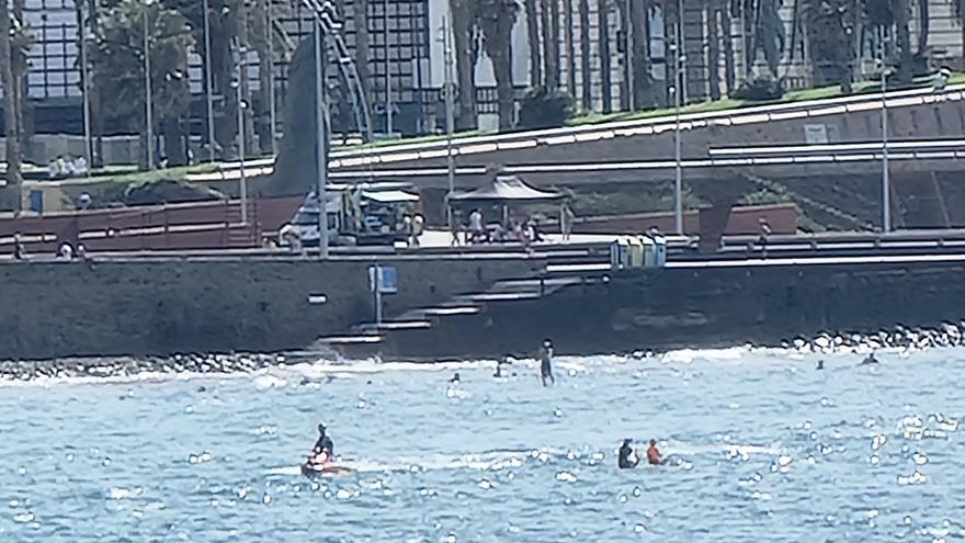 Tiburón martillo en Las Canteras