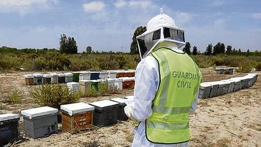 Detenido por una denuncia falsa de robo de un centenar de colmenas en Logrosán