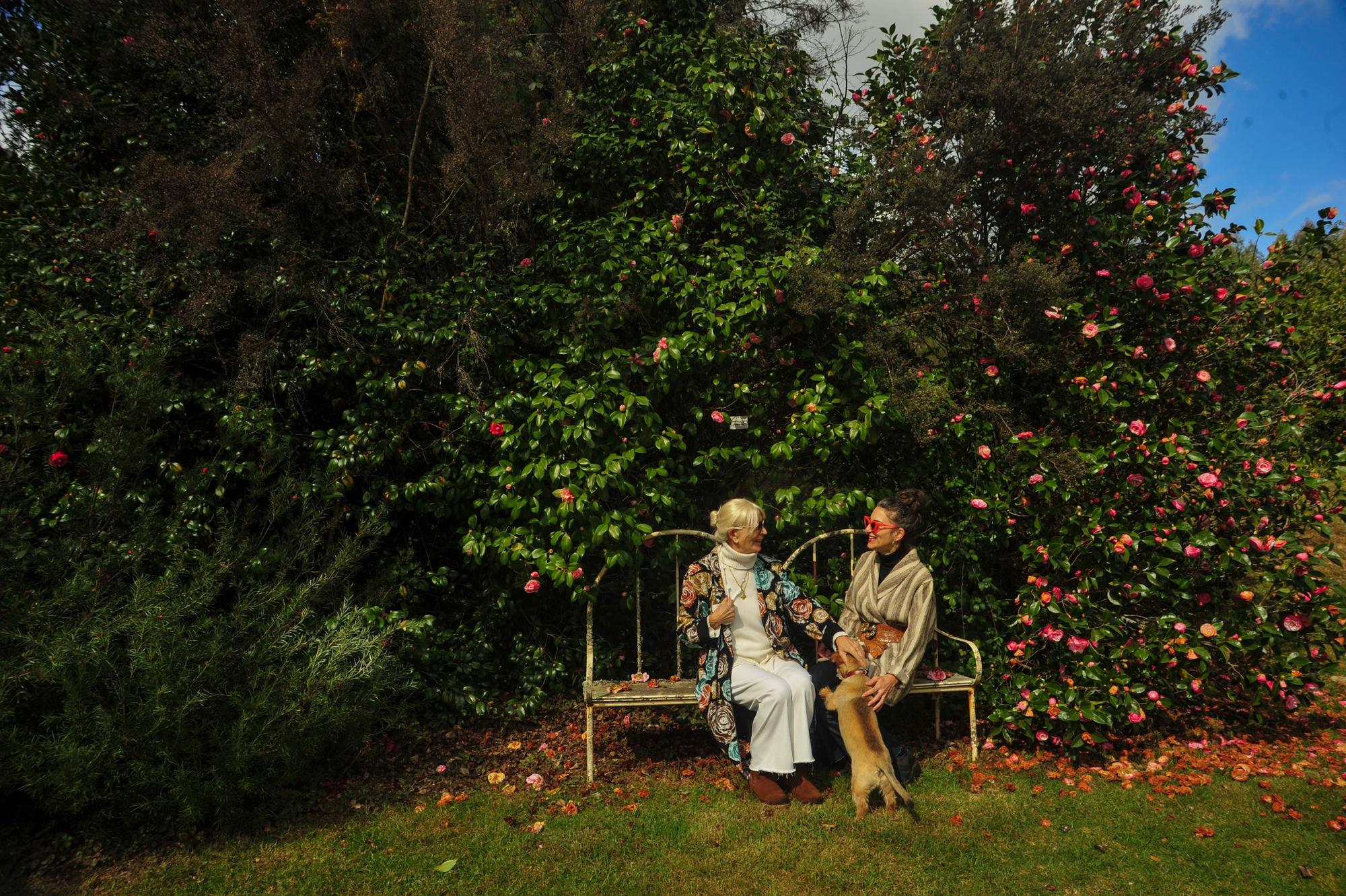 Un paseo por los jardines de Pazo de La Saleta.