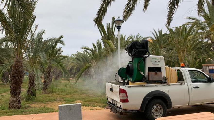 Tareas de desinfección para prevenir la plaga de mosquitos. | ARCHIVO AYTO. CARTAGENA