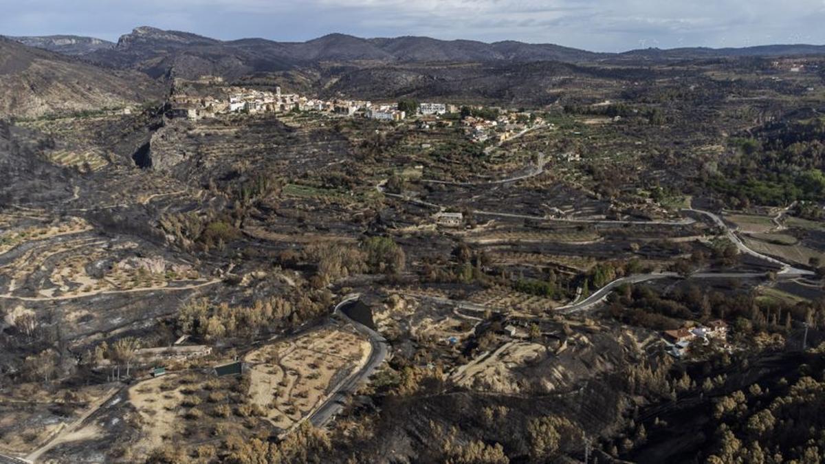 Las consecuencias del incendio de Bejís, a vista de dron.