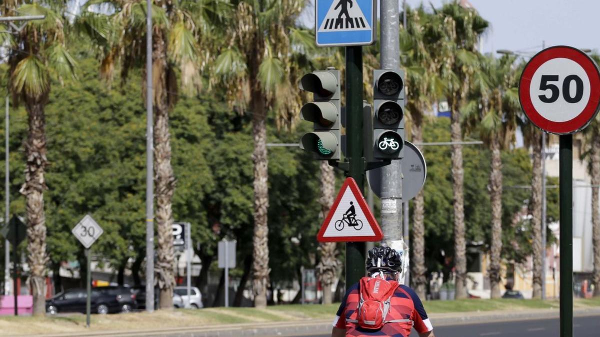 Una persona circula por uno de los carriles bici con los que cuenta la capital murciana. | JUAN CARLOS CAVAL