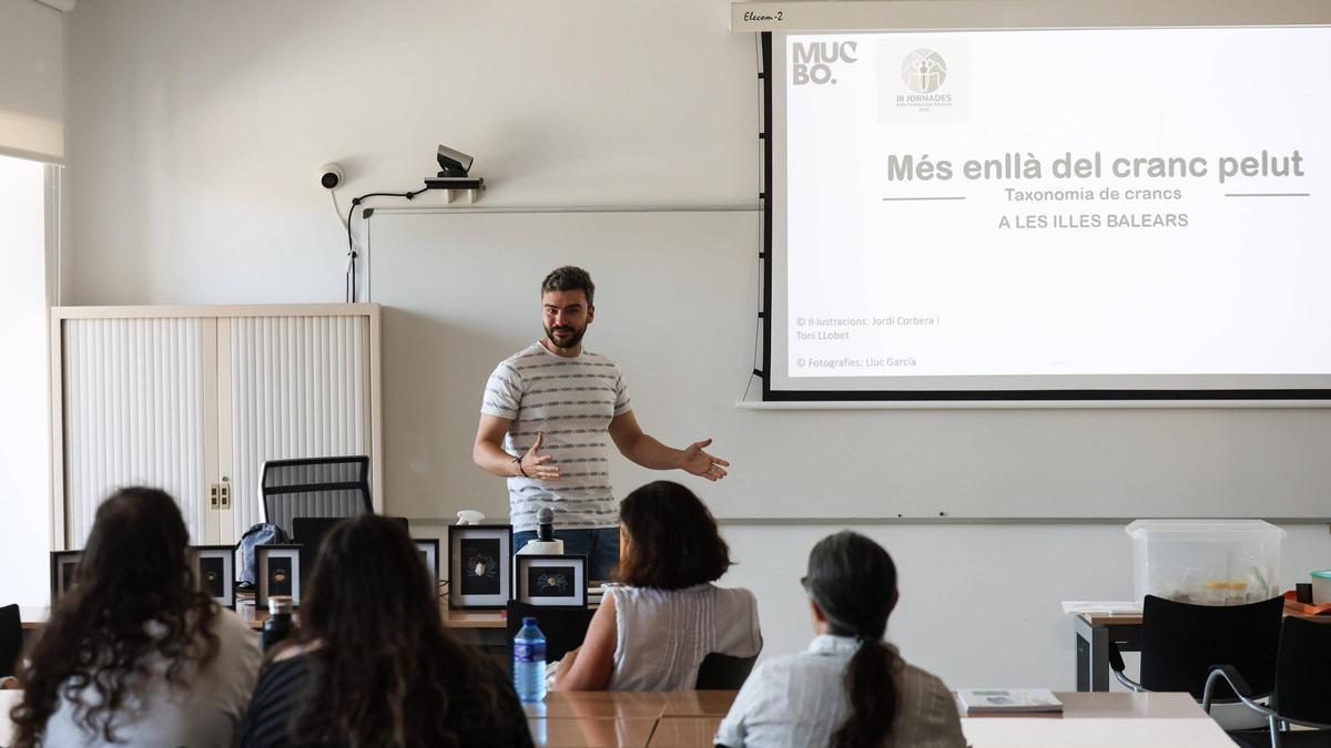 El taller 'Més enllà del cranc pelut' en la jornada de etomología balear