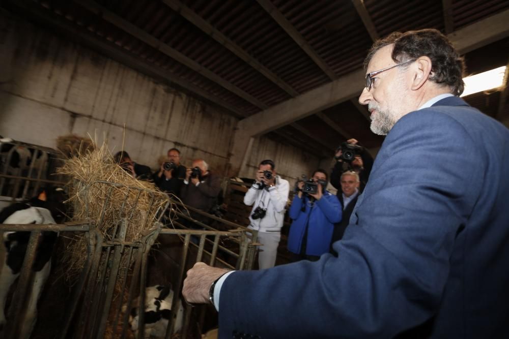 Visita de Mariano Rajoy a una ganadería en Gozón (Asturias)