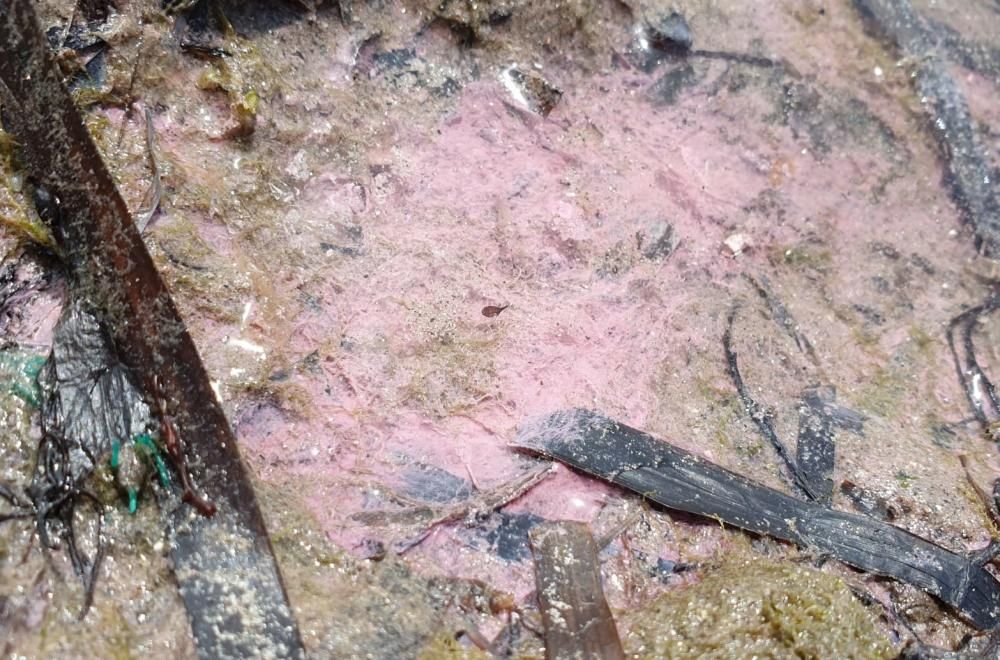 La playa de Bouzas, bañada por un manto rosado