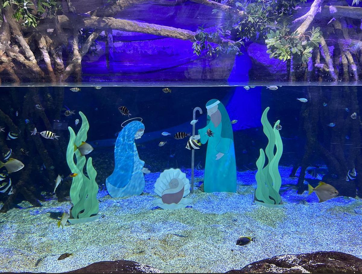 Belén marino en uno de los tanques principales del Acuario de Sevilla