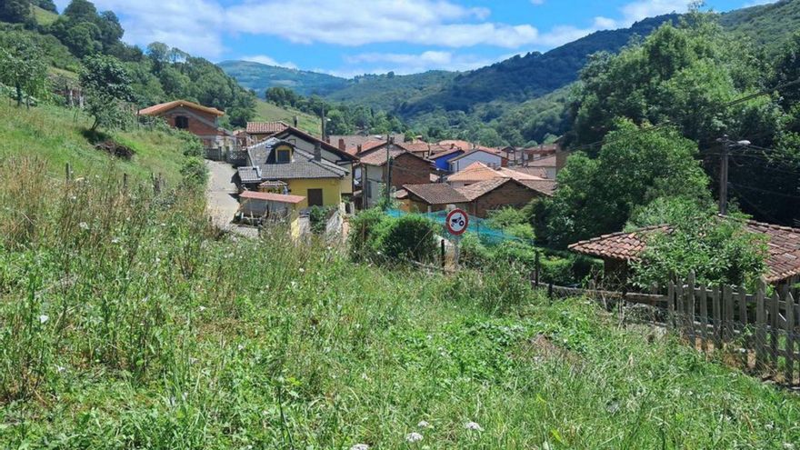 Zona de Cenera donde el 6 de julio atacaron los lobos. | D. M.