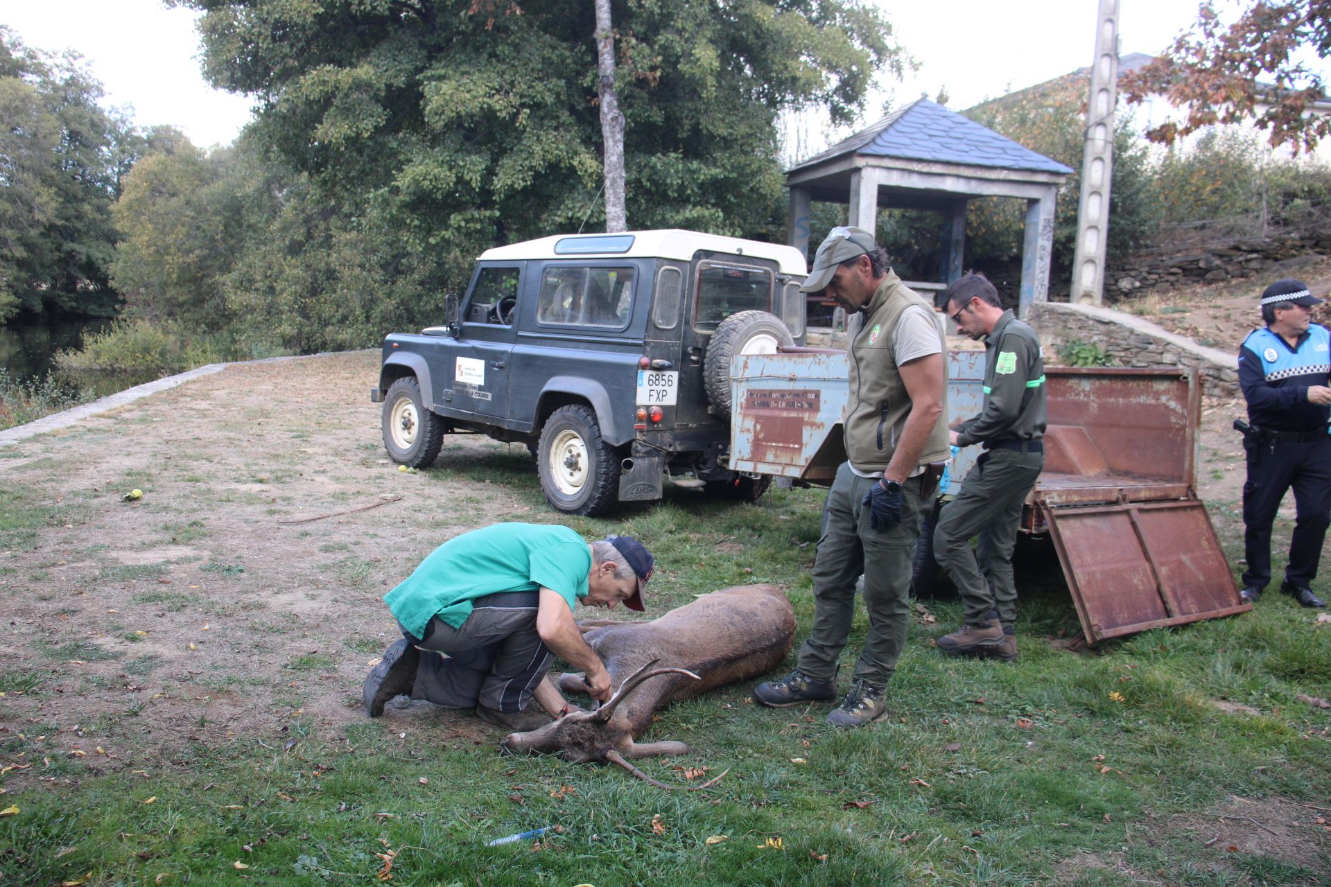 GALERÍA | Rescate de un ciervo enfermo en Puebla