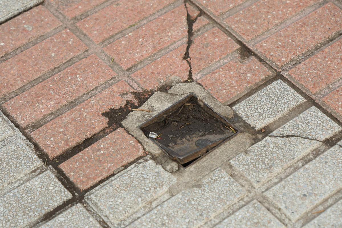 FOTOGALERÍA | La esperada reforma del Paseo de Cánovas de Cáceres, más cerca