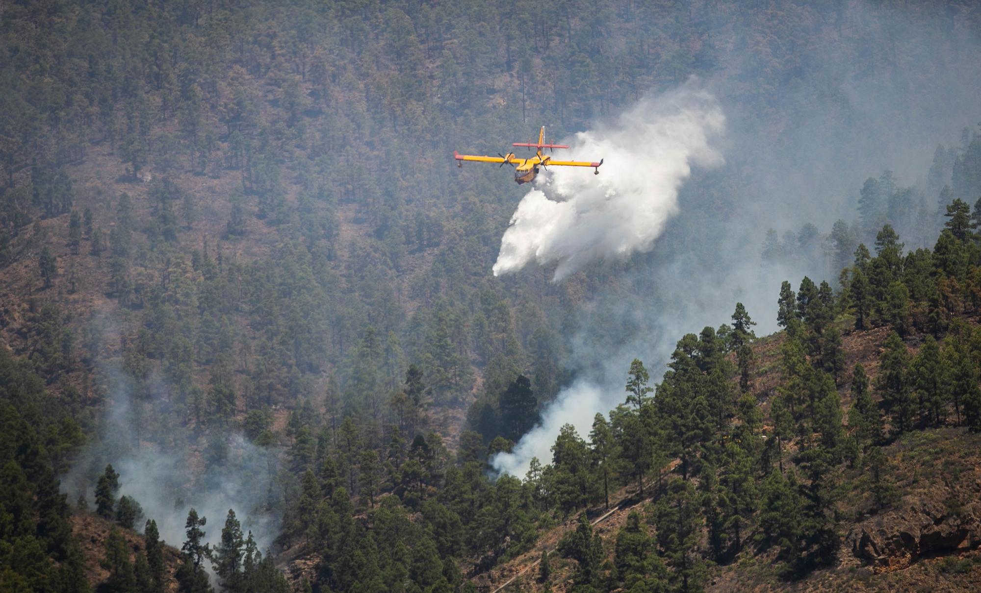 Incendio en Arico