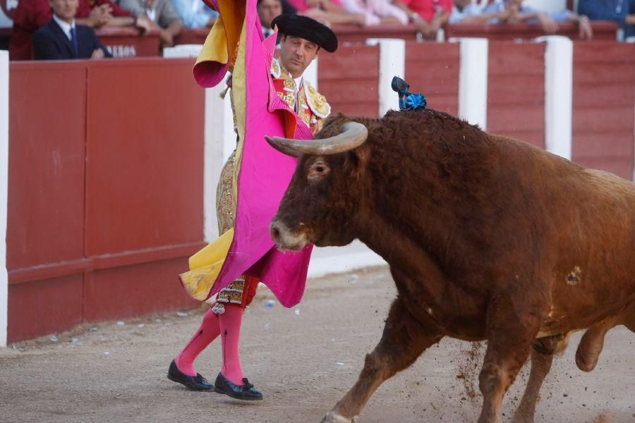 Toros en Zamora