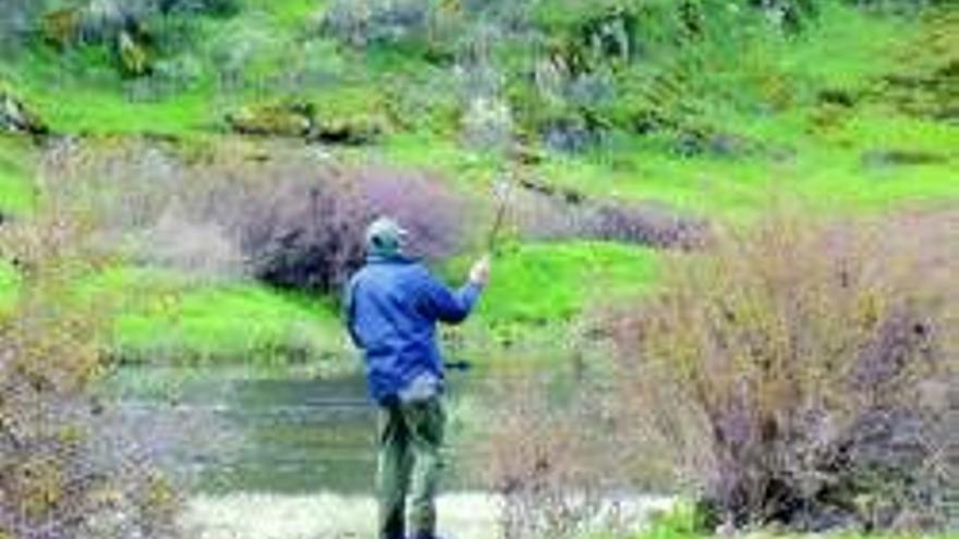 Comienza el periodo hábil para la pesca de la trucha en la región