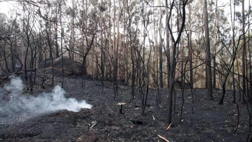 Zona devastada per un dels incendis a la localitat pontevedresa de Nigrán.