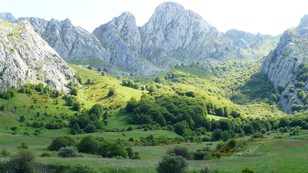 IBA del Valle de Anciles (León).