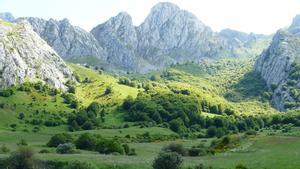 IBA del Valle de Anciles (León).