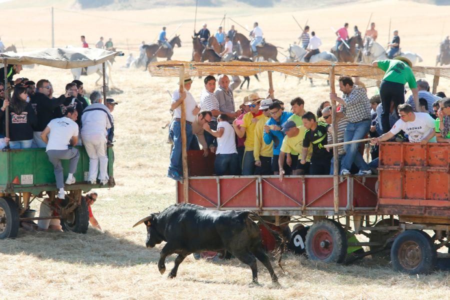 Encierro Guarrate