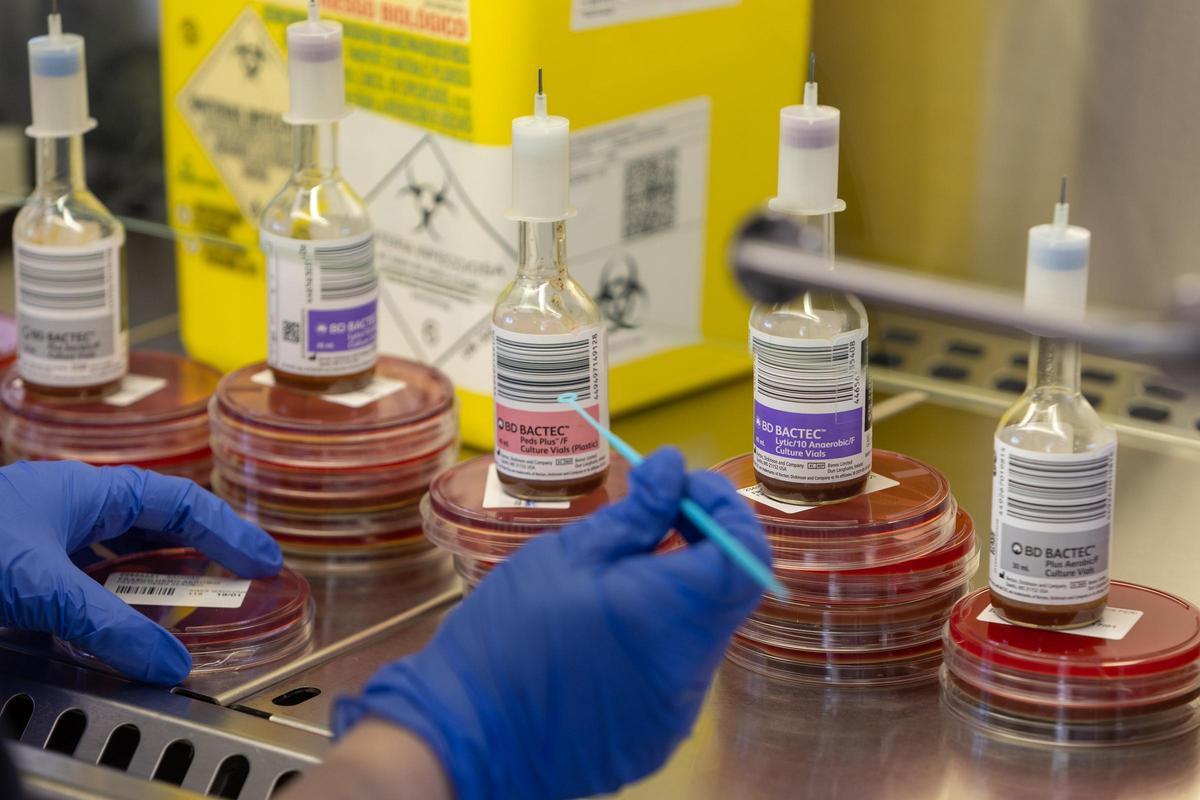 Investigación en virus y bacterias Investigación en virus y bacterias