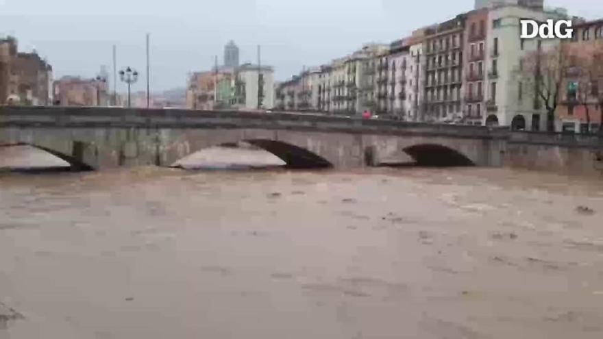 Un any del temporal Gloria